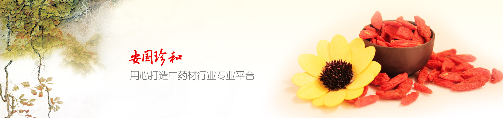 安國(guó)市珍和中藥材有限公司